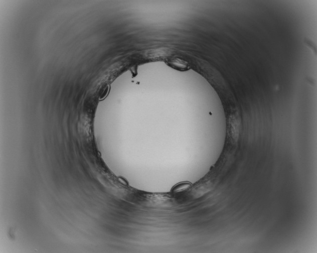 X0000103440380200809261759