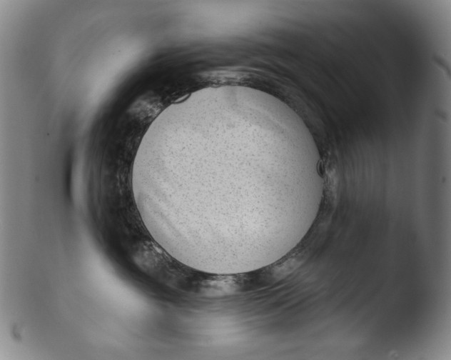 X0000103440381200809261759