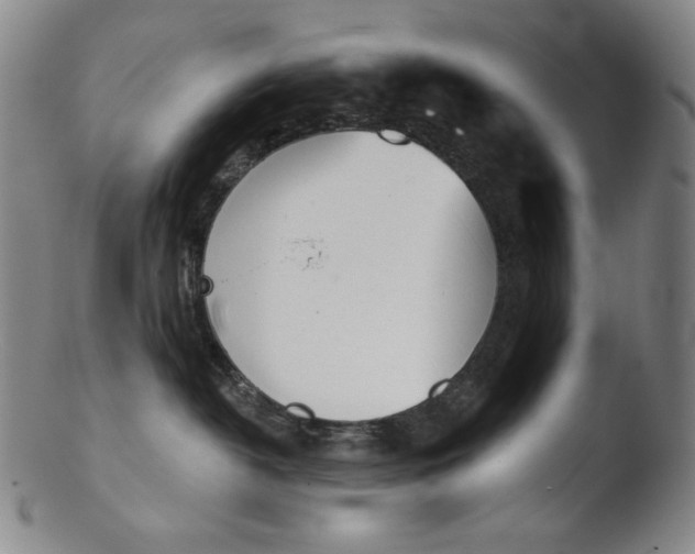 X0000103440382200809261759