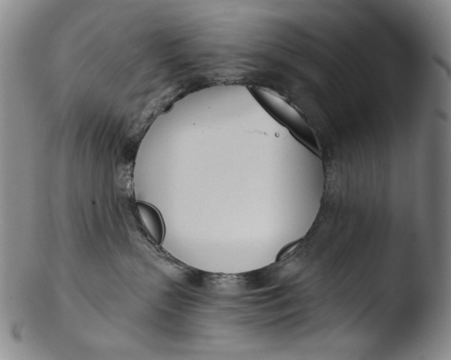 X0000103440383200809261759