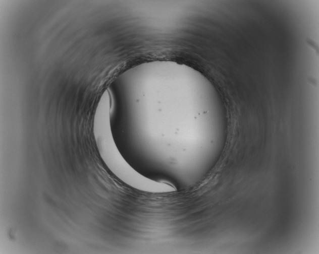 X0000103440384200809261759