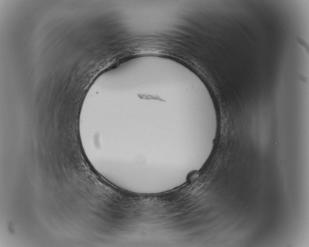 X0000103440385200809261759