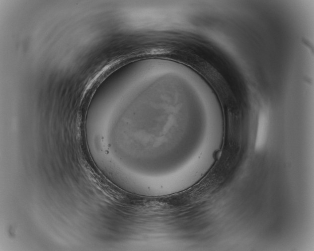 X0000103440387200809261759