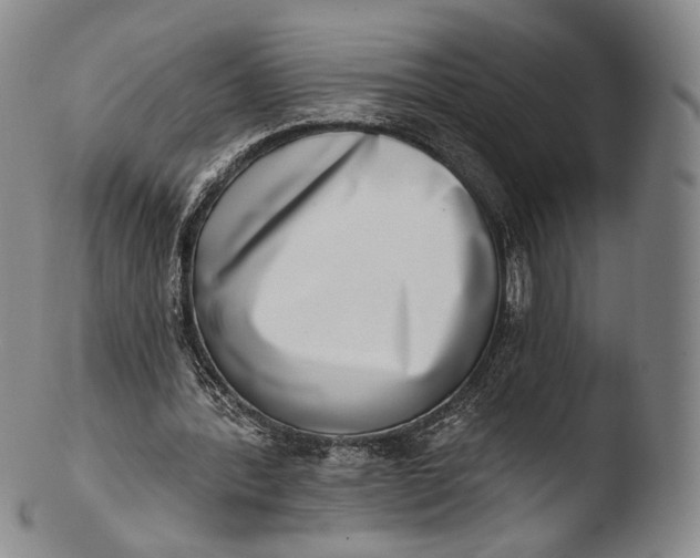 X0000103440388200809261759