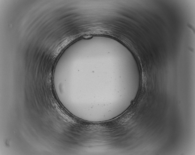 X0000103440389200809261759