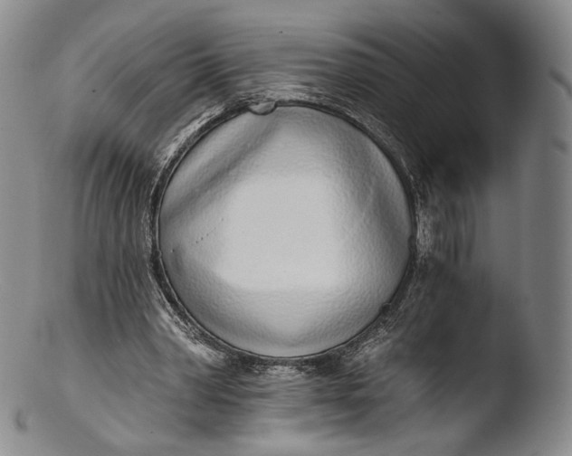 X0000103440390200809261758