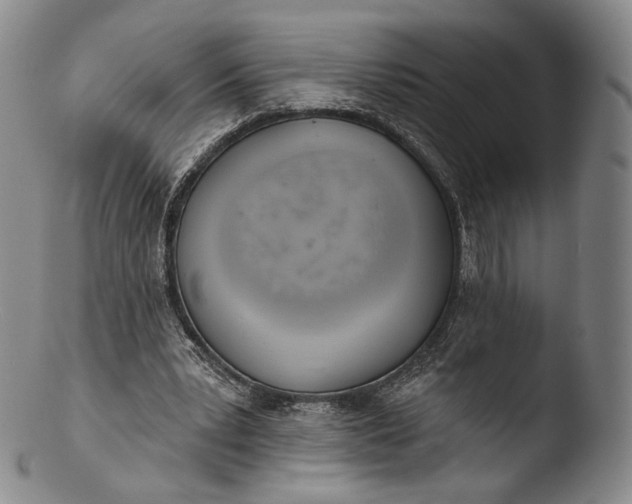 X0000103440391200809261758