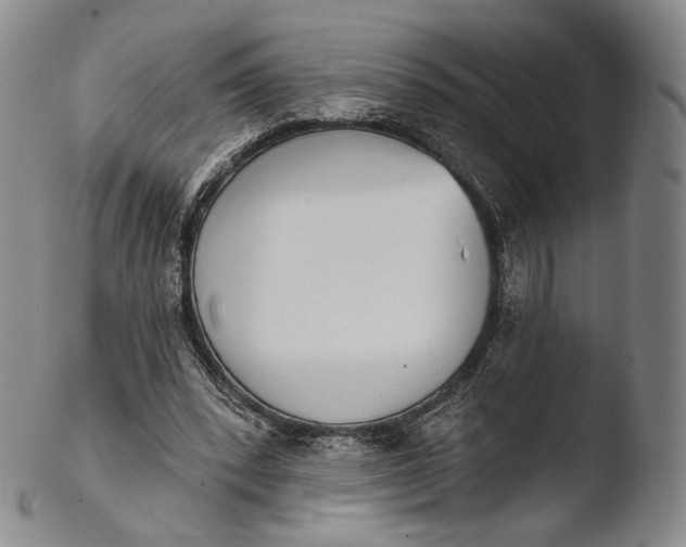X0000103440392200809261758