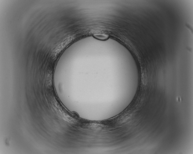 X0000103440393200809261758