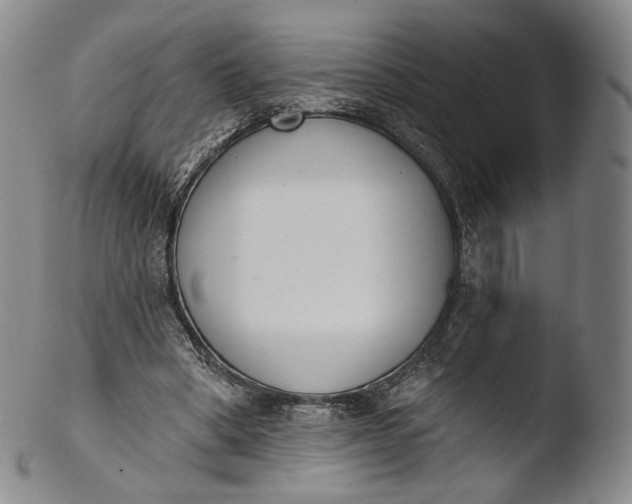 X0000103440394200809261758