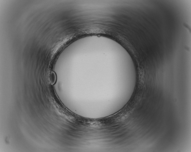 X0000103440395200809261758