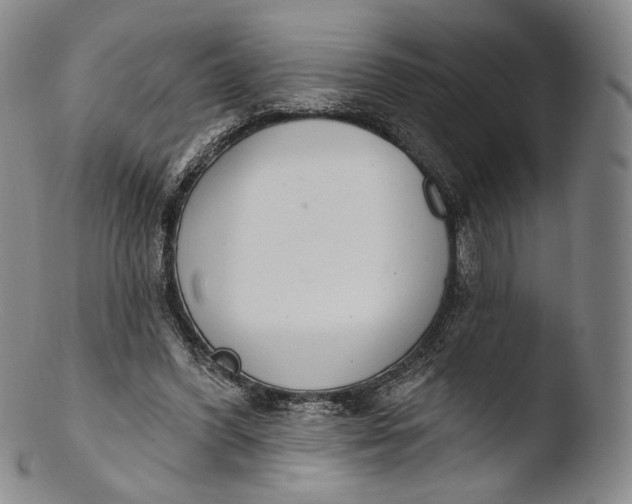 X0000103440396200809261758