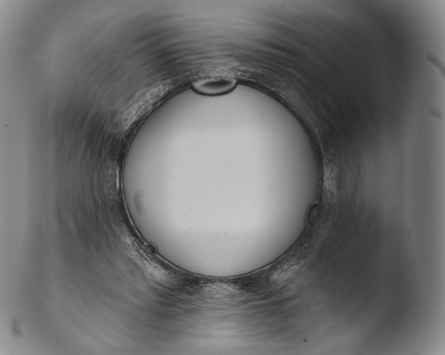 X0000103440397200809261758