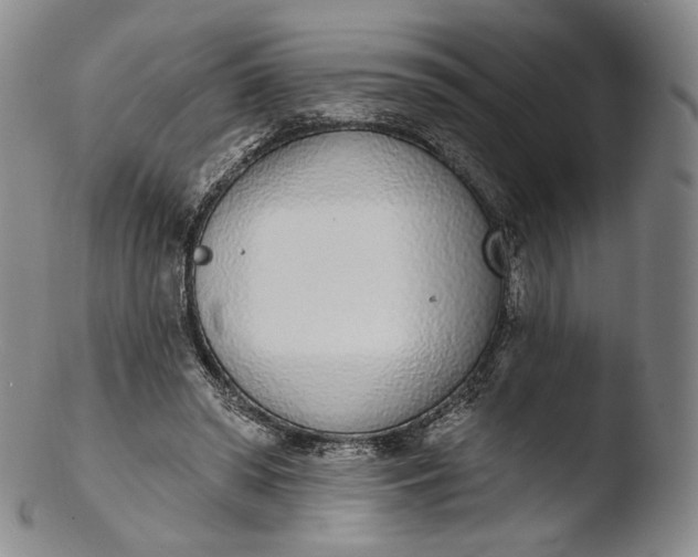 X0000103440398200809261758