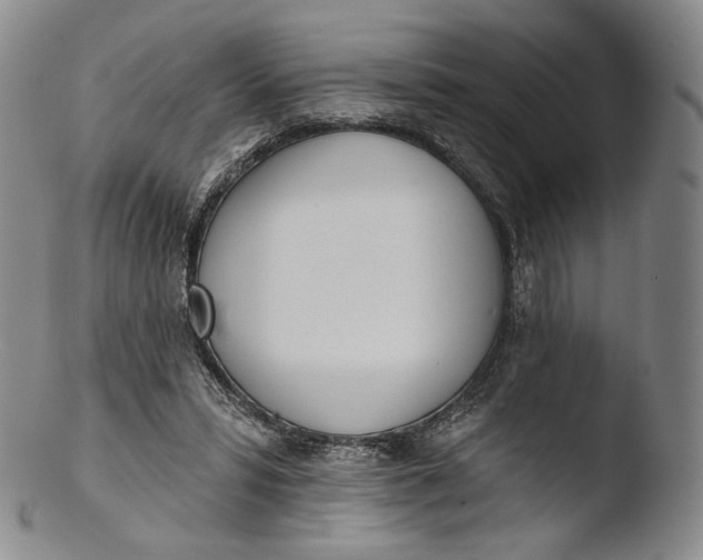 X0000103440399200809261758