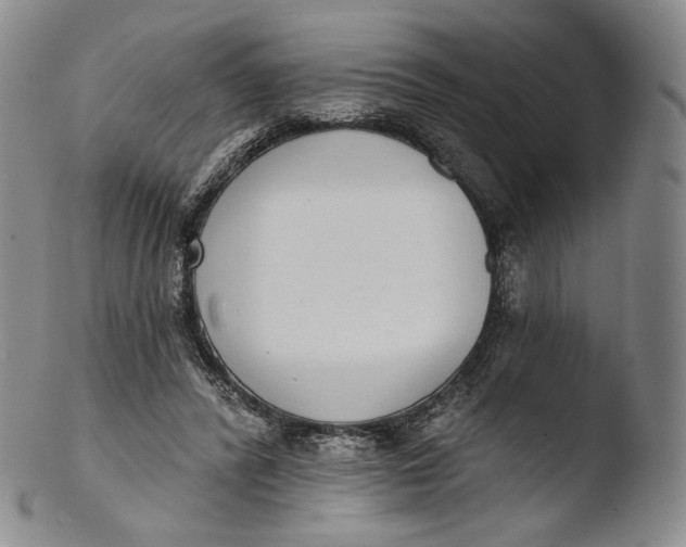 X0000103440400200809261758