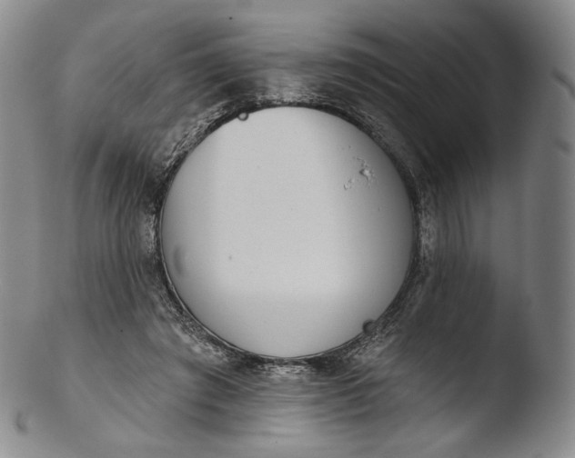 X0000103440401200809261758