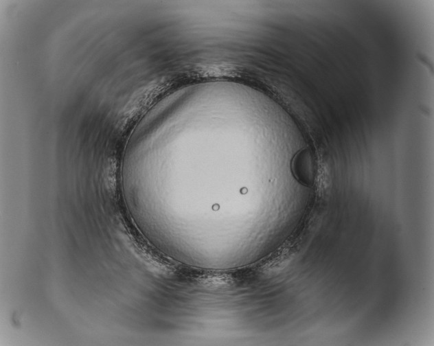 X0000103440402200809261758