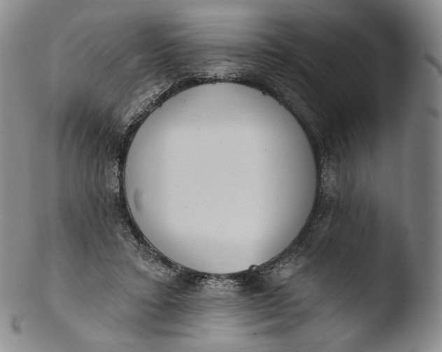 X0000103440403200809261758