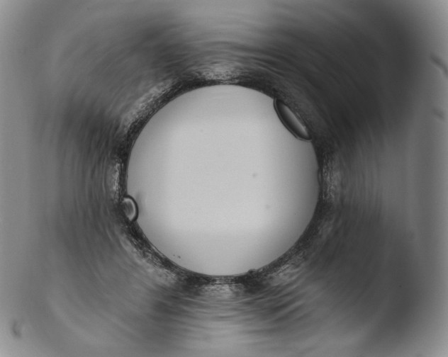 X0000103440404200809261758