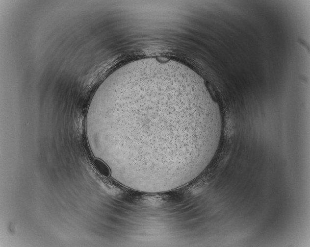 X0000103440405200809261758