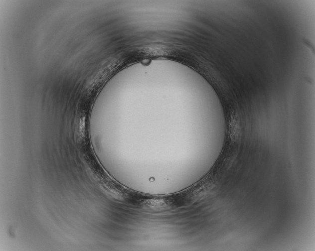 X0000103440406200809261758
