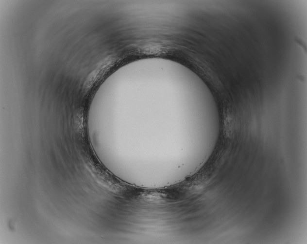 X0000103440407200809261758