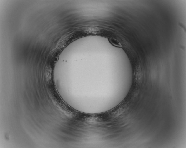 X0000103440408200809261758