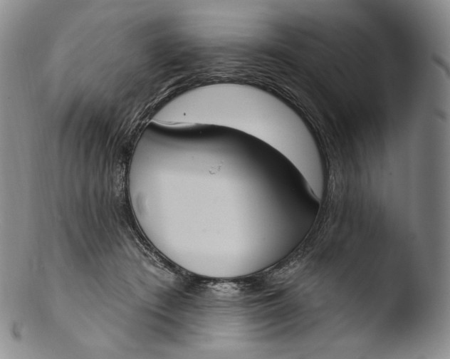 X0000103440409200809261758