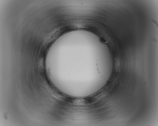 X0000103440410200809261758