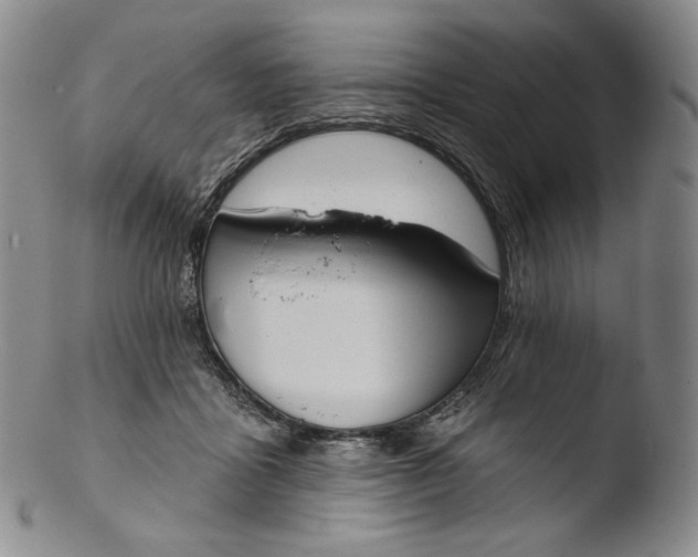 X0000103440411200809261758