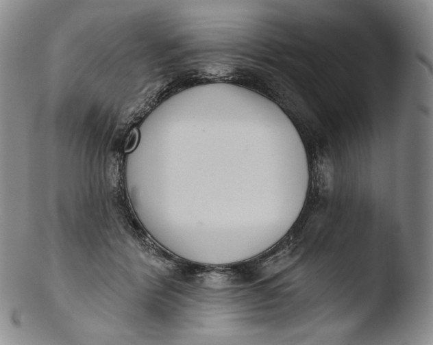X0000103440412200809261758