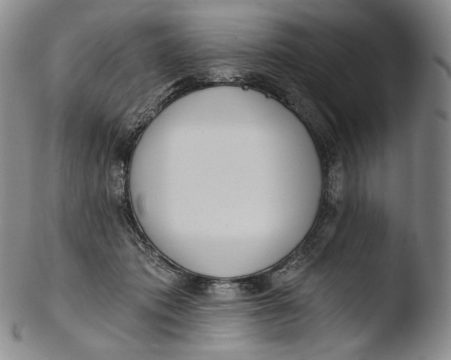 X0000103440413200809261758