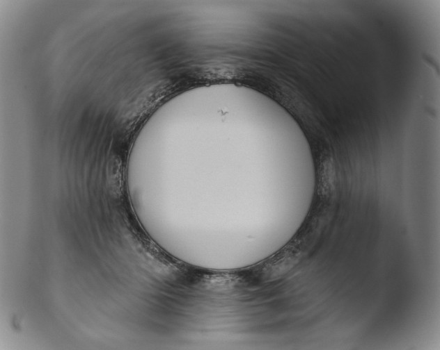 X0000103440414200809261758