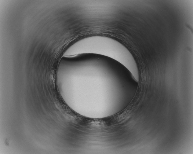 X0000103440415200809261758