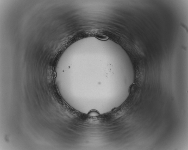 X0000103440416200809261758