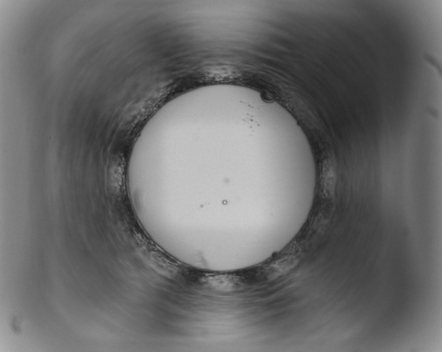 X0000103440417200809261758