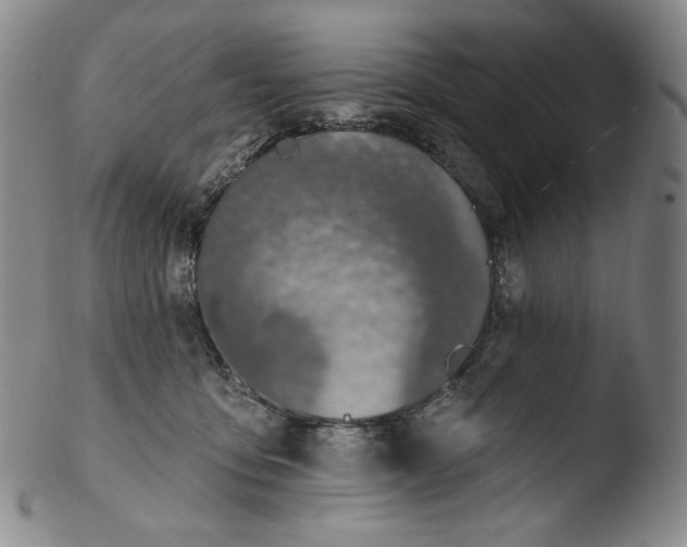 X0000103440419200809261758