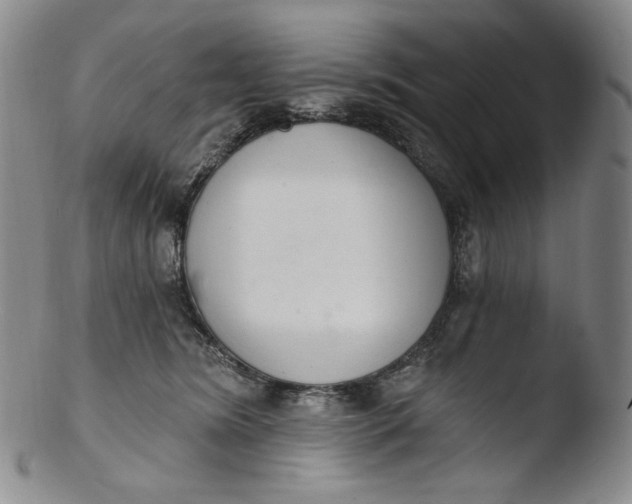 X0000103440420200809261758