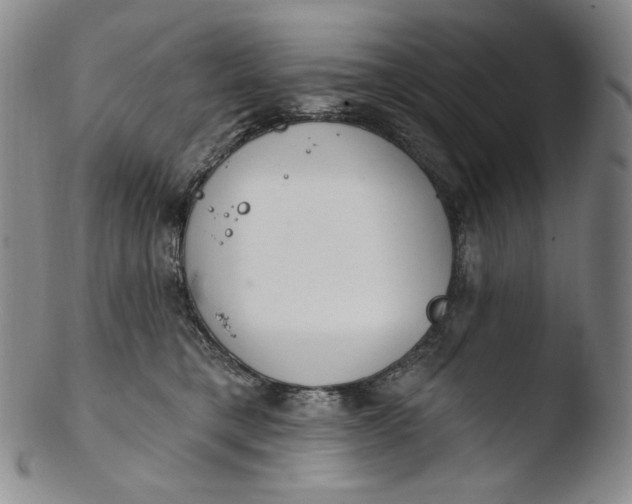 X0000103440421200809261758