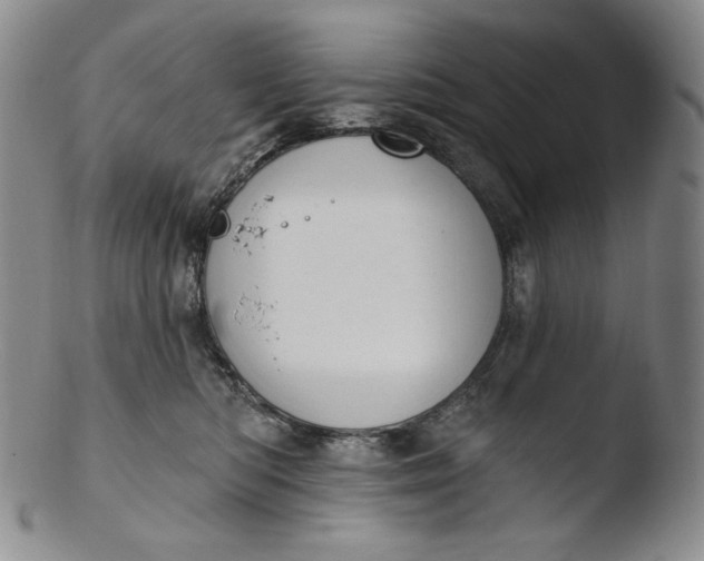 X0000103440422200809261758