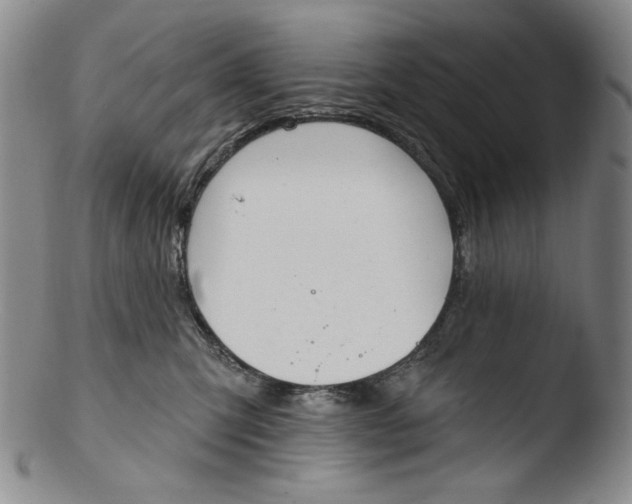 X0000103440423200809261758