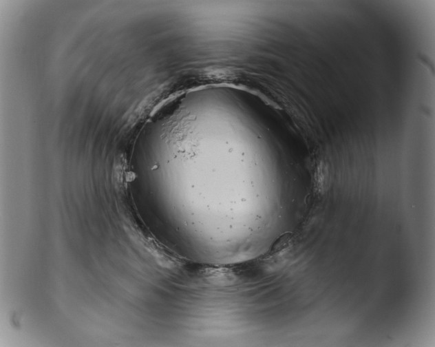 X0000103440424200809261758