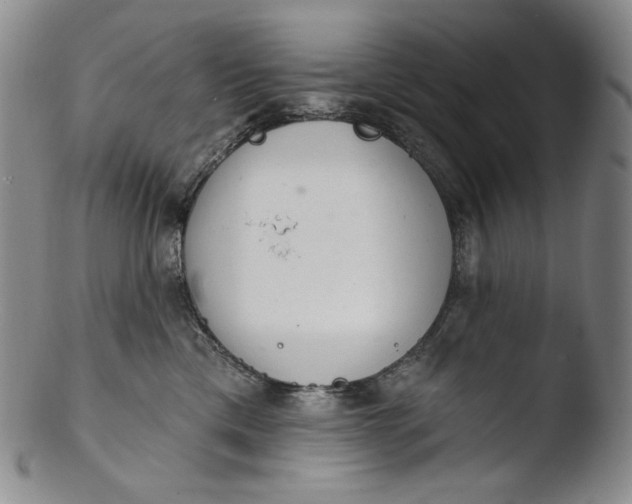 X0000103440425200809261758