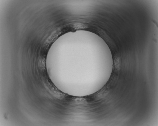 X0000103440426200809261758