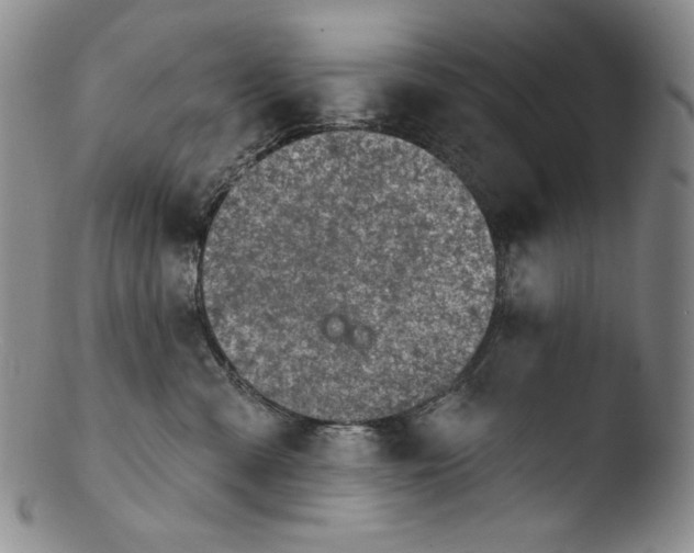 X0000103440427200809261758