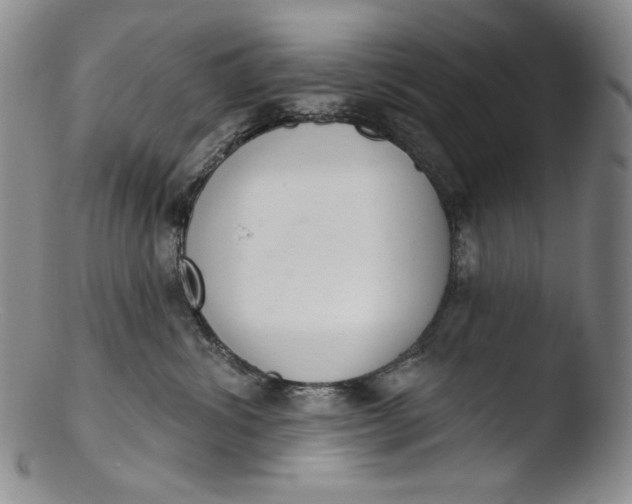 X0000103440428200809261758