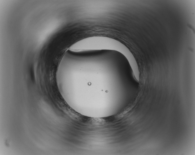 X0000103440429200809261758
