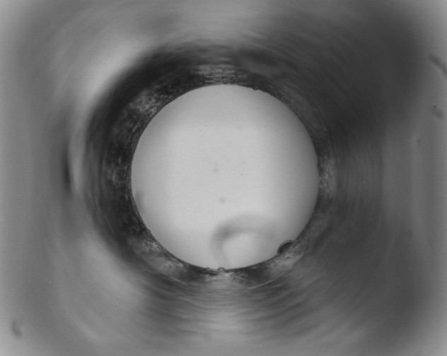 X0000103440430200809261758