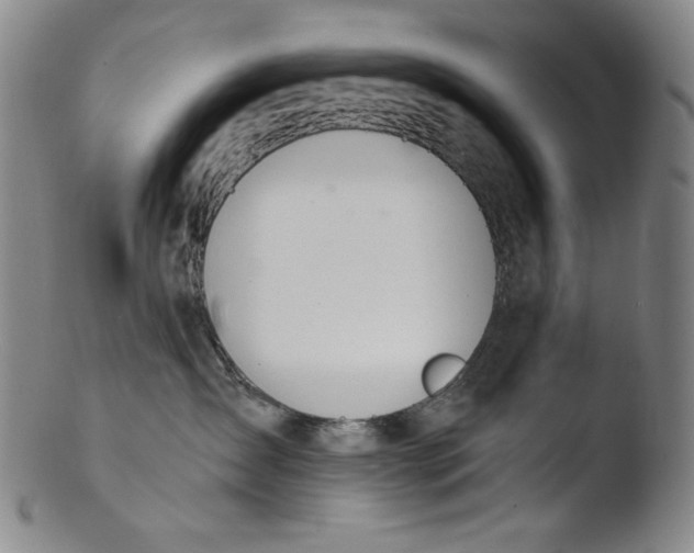 X0000103440431200809261758